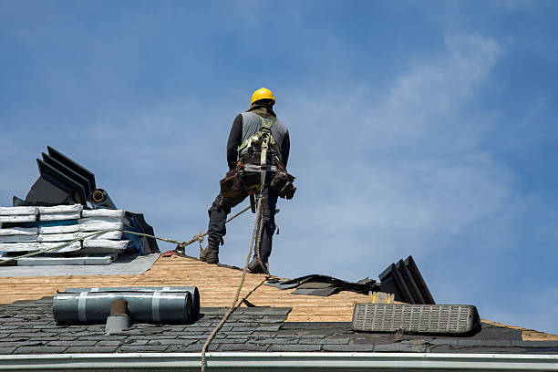 Professional Gutter Installation technician working in Deer Grove, IL